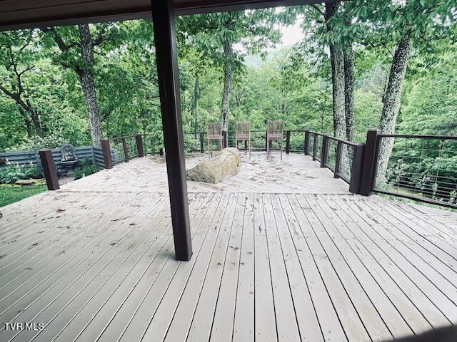 271 Iron Mountain Retreat Rd, Elizabethton, TN 37643 - photo 89