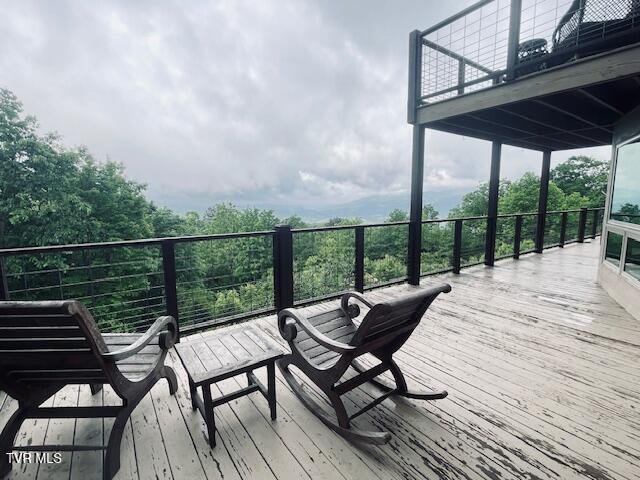 271 Iron Mountain Retreat Rd, Elizabethton, TN 37643 - photo 91