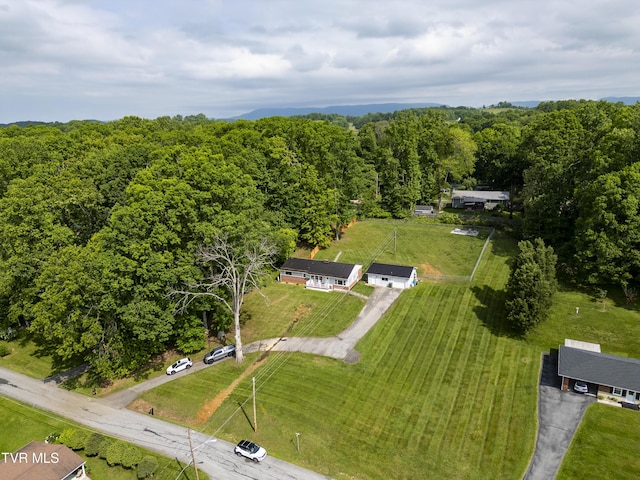 963 NE Woodlawn Ter, Abingdon, VA 24210 - aerial view of a heavily wooded area