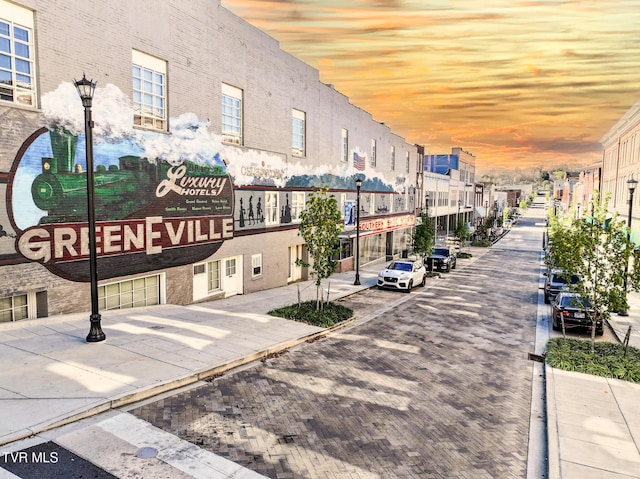408 N Main St, Greeneville, TN 37745 - view of building exterior