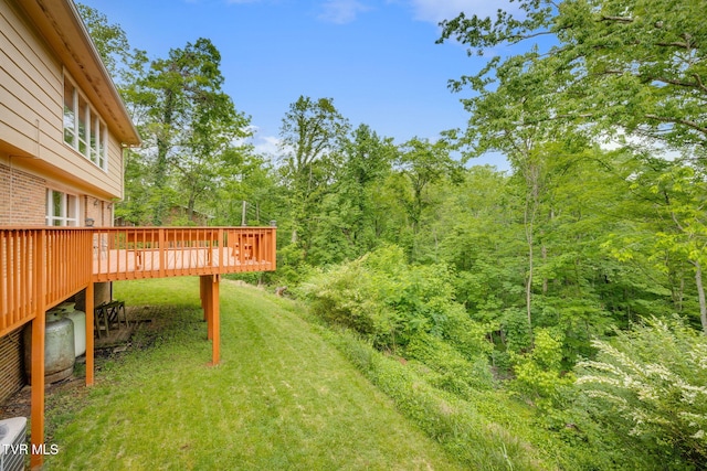 4534 Brookridge Dr, Kingsport, TN 37664 - photo 41