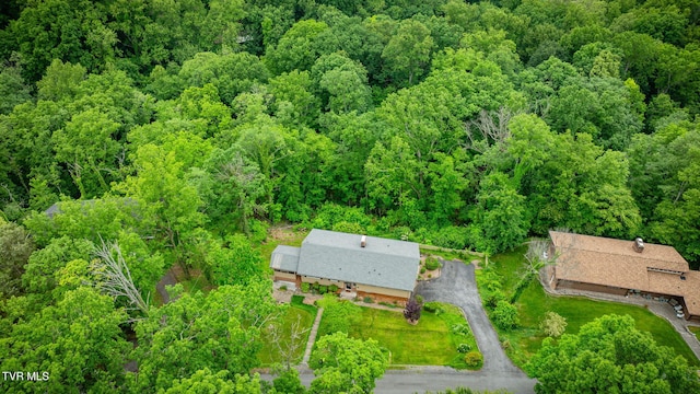 4534 Brookridge Dr, Kingsport, TN 37664 - photo 45