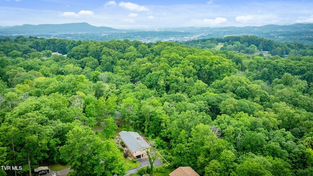 4534 Brookridge Dr, Kingsport, TN 37664 - photo 46
