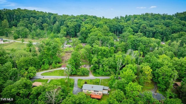 4534 Brookridge Dr, Kingsport, TN 37664 - photo 47