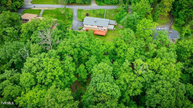 4534 Brookridge Dr, Kingsport, TN 37664 - photo 48
