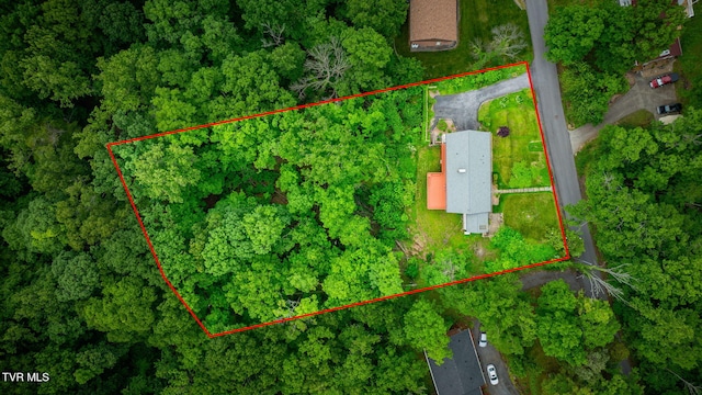 4534 Brookridge Dr, Kingsport, TN 37664 - photo 44