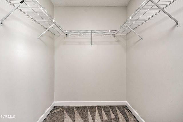 walk in closet featuring carpet flooring