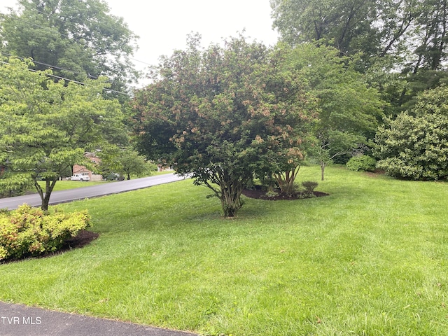 203 Oak Ln, Johnson City, TN 37604 - view of green lawn