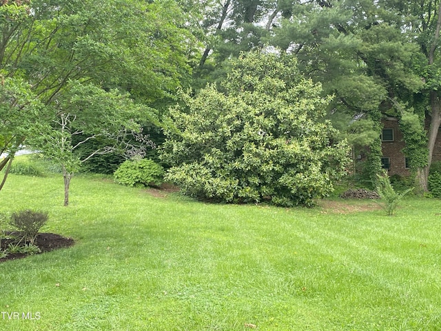 203 Oak Ln, Johnson City, TN 37604 - view of grassy yard