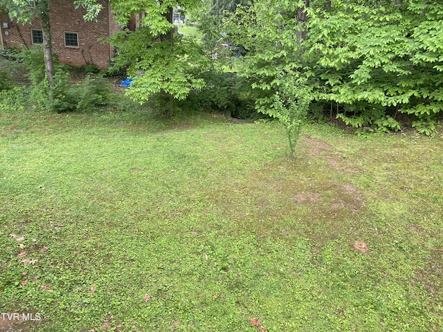 203 Oak Ln, Johnson City, TN 37604 - view of yard