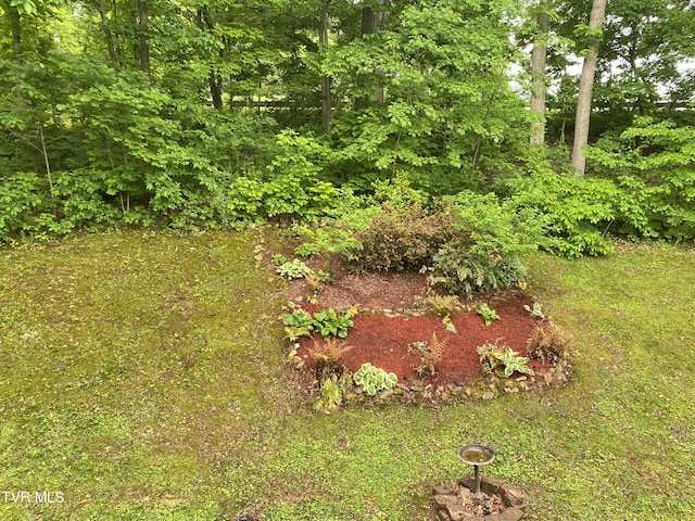 203 Oak Ln, Johnson City, TN 37604 - view of yard