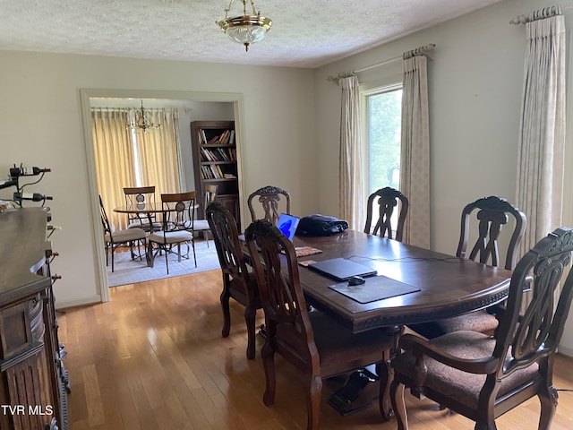 203 Oak Ln, Johnson City, TN 37604 - dining space with light wood-style floors and a textured ceiling