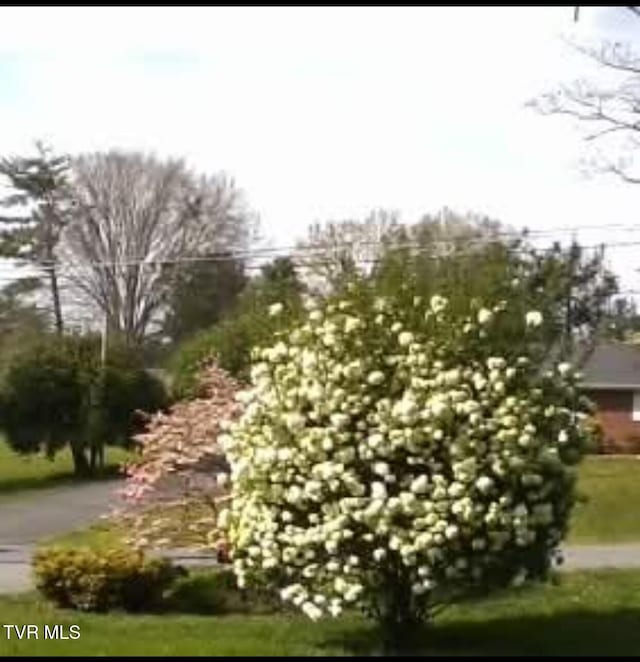 203 Oak Ln, Johnson City, TN 37604 - view of side of property