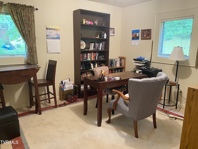 203 Oak Ln, Johnson City, TN 37604 - office space featuring healthy amount of natural light and carpet flooring