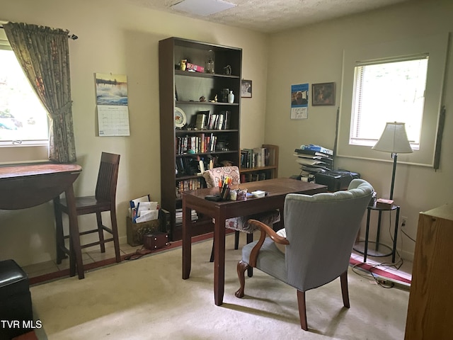 203 Oak Ln, Johnson City, TN 37604 - office area with carpet floors