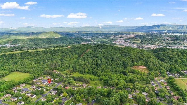 8 Lambeth Ct, Johnson City, TN 37601 - photo 51