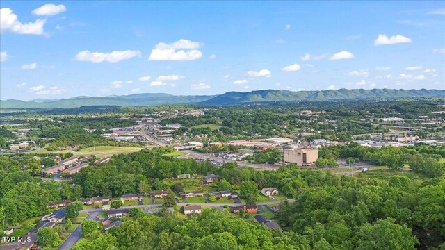 8 Lambeth Ct, Johnson City, TN 37601 - photo 52