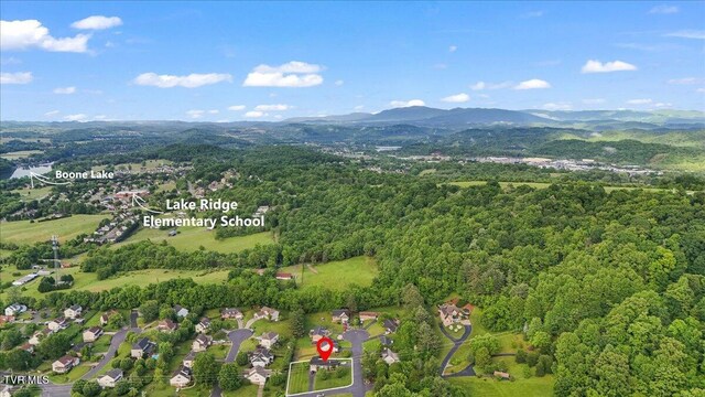 8 Lambeth Ct, Johnson City, TN 37601 - photo 47