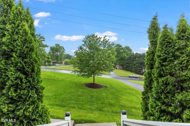 8 Lambeth Ct, Johnson City, TN 37601 - photo 49