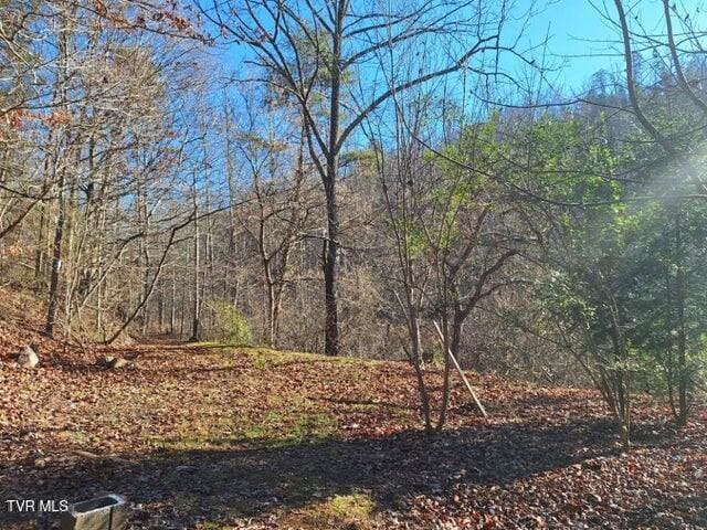 289A Early Branch Rd, Rogersville, TN 37857