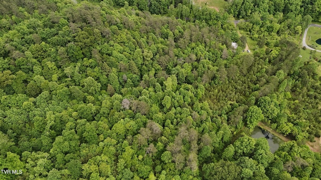 289A Early Branch Rd, Rogersville, TN 37857