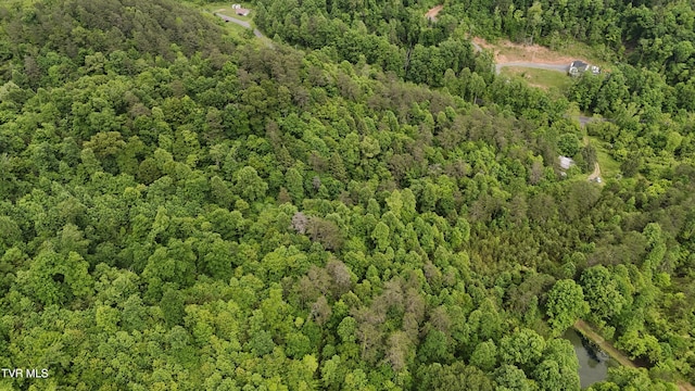 289A Early Branch Rd, Rogersville, TN 37857