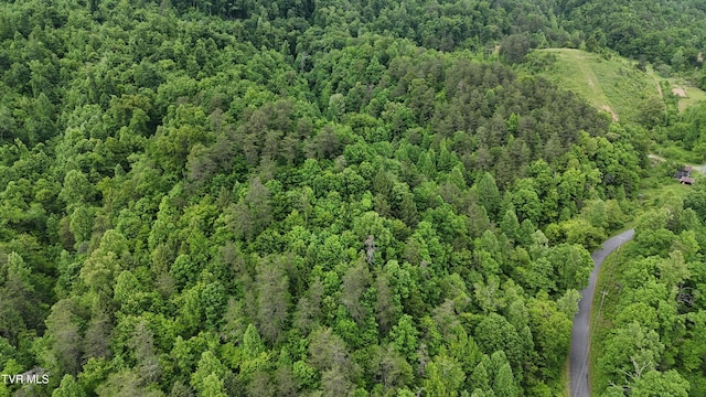 289A Early Branch Rd, Rogersville, TN 37857