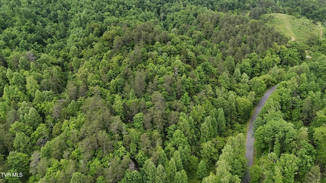 289A Early Branch Rd, Rogersville, TN 37857