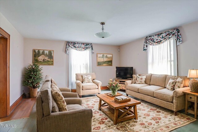 454 Cedar St, Bluff City, TN 37618 - living room with plenty of natural light and light wood-type flooring