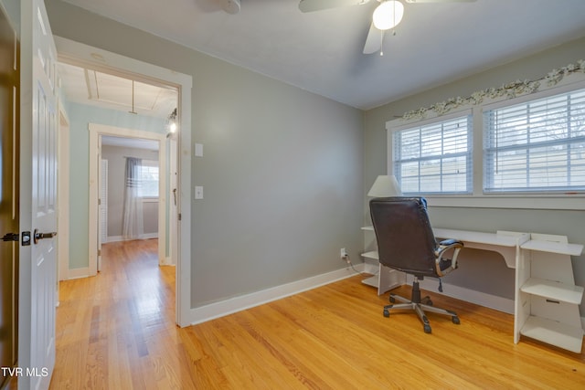 office with attic access, light wood-style flooring, baseboards, and a ceiling fan