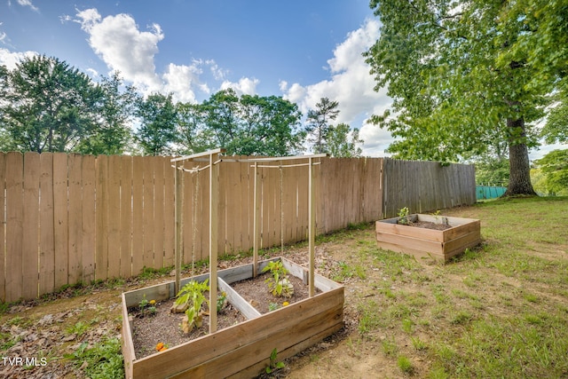 373 Mckeehan Ridge Rd, Elizabethton, TN 37643 - view of yard featuring a vegetable garden