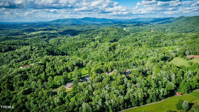 373 Mckeehan Ridge Rd, Elizabethton, TN 37643 - aerial overview of property's location with a forest and a mountain backdrop