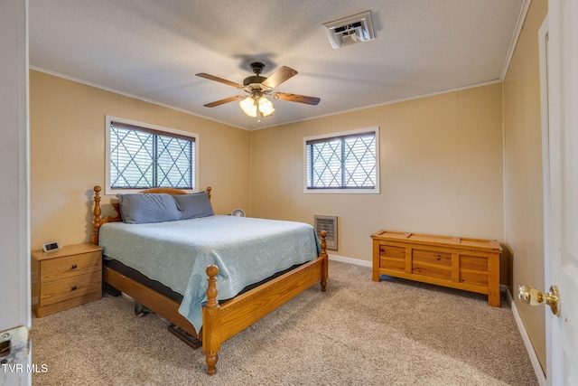 373 Mckeehan Ridge Rd, Elizabethton, TN 37643 - bedroom with crown molding, multiple windows, carpet flooring, a textured ceiling, and baseboards