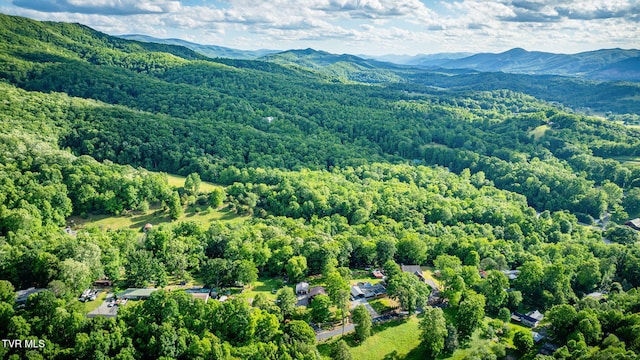 373 Mckeehan Ridge Rd, Elizabethton, TN 37643 - aerial view of a heavily wooded area and mountains