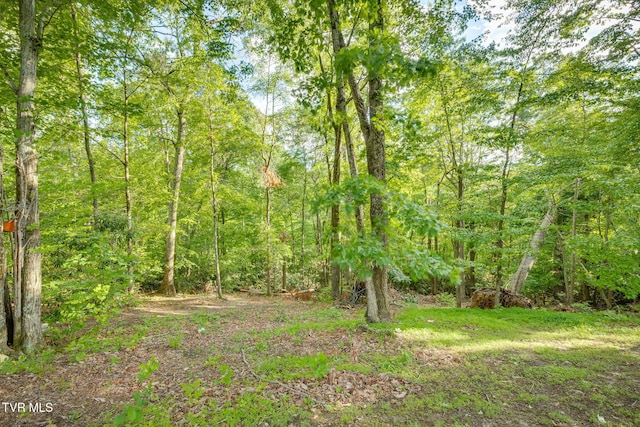 373 Mckeehan Ridge Rd, Elizabethton, TN 37643 - view of tree filled area