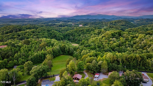 373 Mckeehan Ridge Rd, Elizabethton, TN 37643 - aerial view at dusk of a view of trees and a mountain view