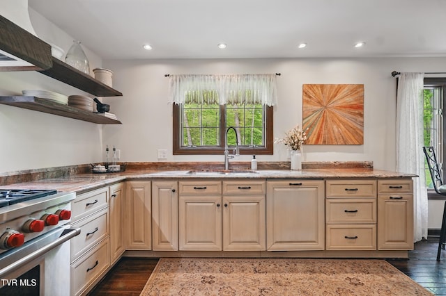 150 NW New Melrose St, Coeburn, VA 24230 - kitchen with a sink, open shelves, high end stainless steel range, dark wood-style floors, and recessed lighting