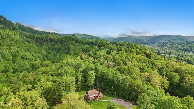 150 NW New Melrose St, Coeburn, VA 24230 - mountain view with a forest