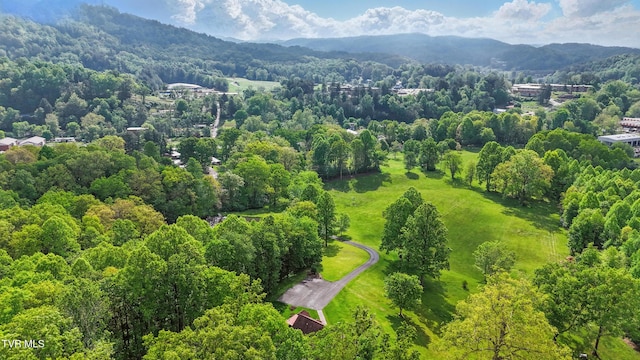 150 NW New Melrose St, Coeburn, VA 24230 - drone / aerial view of a forest and a mountain backdrop