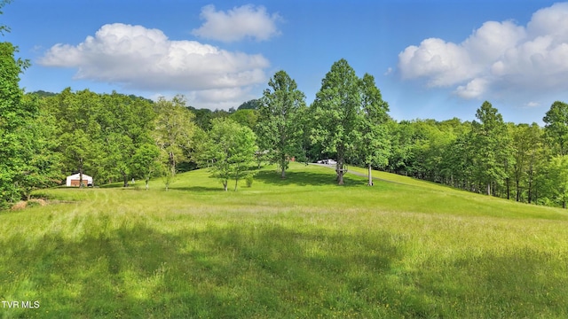 150 NW New Melrose St, Coeburn, VA 24230 - view of yard featuring a forest view