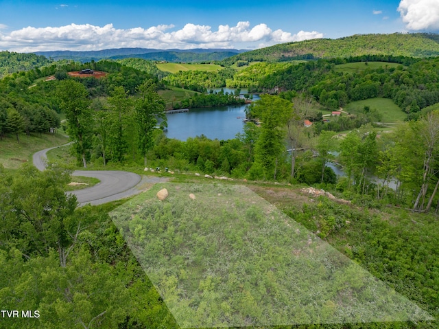 LOT25 Cowan Town Rd, Butler, TN 37640 - photo 1