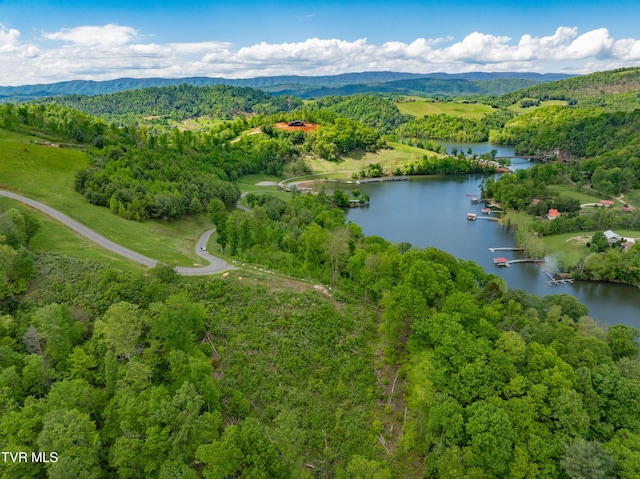 LOT25 Cowan Town Rd, Butler, TN 37640 - photo 3