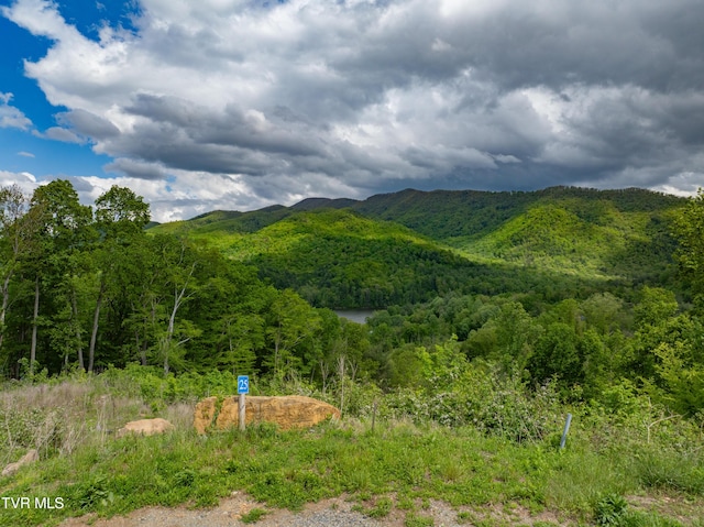 LOT25 Cowan Town Rd, Butler, TN 37640 - photo 4