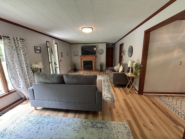 200 Glenbrook Mountain Rd, Keokee, VA 24265 - living area with ornamental molding, a fireplace with raised hearth, and light wood-style flooring