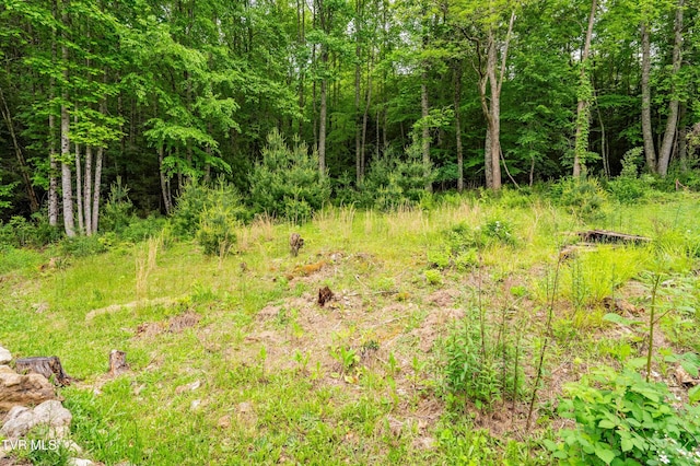 674 Shoun St, Mountain City, TN 37683 - photo 31