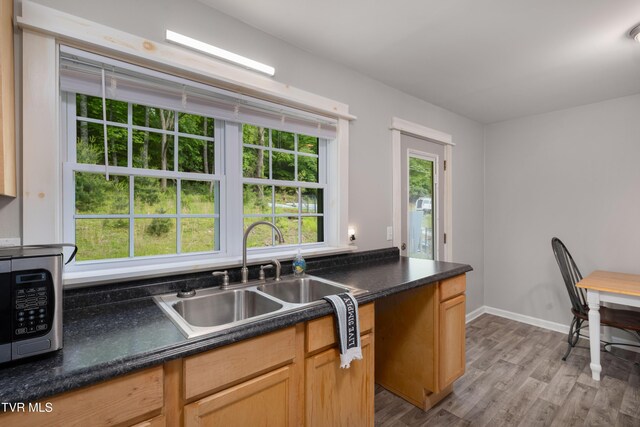 674 Shoun St, Mountain City, TN 37683 - photo 14