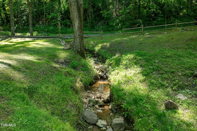 109 Hatley Hollow Rd, Butler, TN 37640 - view of yard