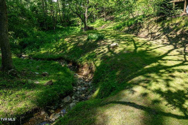 109 Hatley Hollow Rd, Butler, TN 37640 - view of green lawn