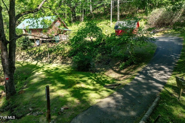 109 Hatley Hollow Rd, Butler, TN 37640 - view of green lawn featuring driveway
