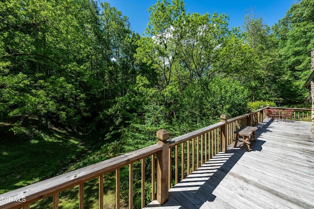 109 Hatley Hollow Rd, Butler, TN 37640 - view of wooden deck